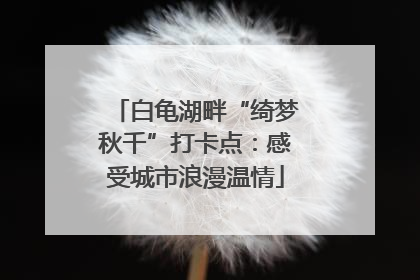 白龟湖畔“绮梦秋千”打卡点：感受城市浪漫温情