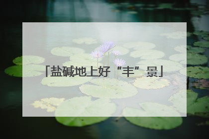 盐碱地上好“丰”景