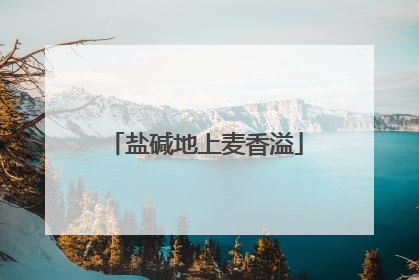 盐碱地上麦香溢