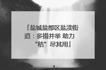 盐城盐都区盐渎街道：多措并举 助力“秸”尽其用