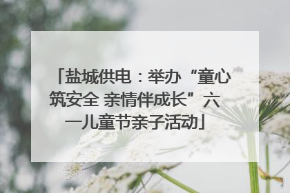 盐城供电：举办“童心筑安全 亲情伴成长”六一儿童节亲子活动