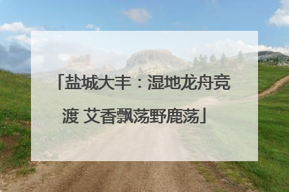 盐城大丰：湿地龙舟竞渡 艾香飘荡野鹿荡