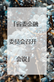 省委金融委员会召开会议
