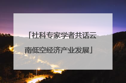 社科专家学者共话云南低空经济产业发展