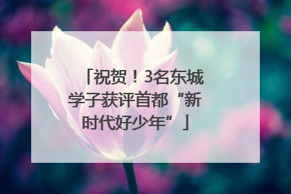 祝贺！3名东城学子获评首都“新时代好少年”
