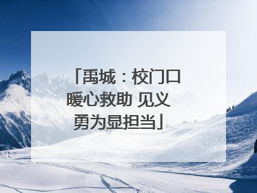 禹城：校门口暖心救助 见义勇为显担当