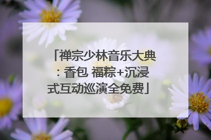禅宗少林音乐大典：香包 福粽+沉浸式互动巡演全免费