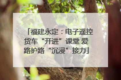 福建永定：电子遥控货车“开进”课堂 爱路护路“沉浸”接力