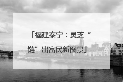 福建泰宁：灵芝“链”出富民新图景