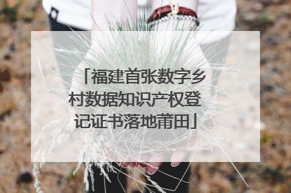 福建首张数字乡村数据知识产权登记证书落地莆田