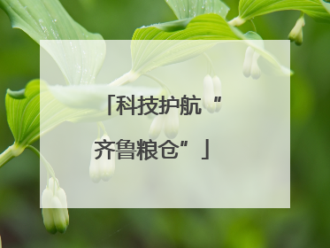 科技护航“齐鲁粮仓”