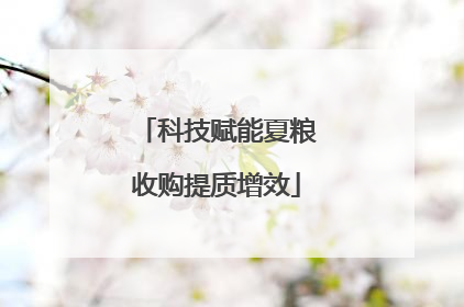 科技赋能夏粮收购提质增效
