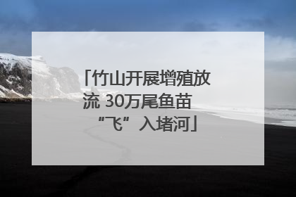 竹山开展增殖放流 30万尾鱼苗“飞”入堵河