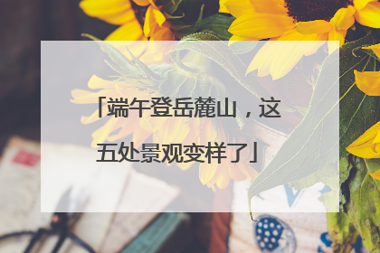 端午登岳麓山，这五处景观变样了