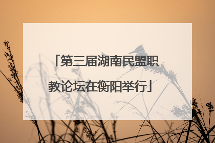 第三届湖南民盟职教论坛在衡阳举行