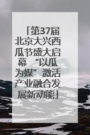 第37届北京大兴西瓜节盛大启幕 “以瓜为媒”激活产业融合发展新动能