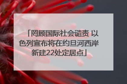 罔顾国际社会谴责 以色列宣布将在约旦河西岸新建22处定居点