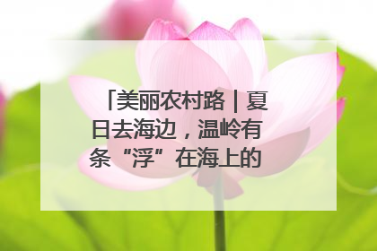 美丽农村路｜夏日去海边，温岭有条“浮”在海上的公路你去过吗？