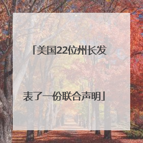 美国22位州长发表了一份联合声明