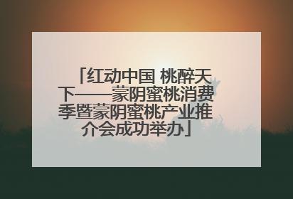 红动中国 桃醉天下——蒙阴蜜桃消费季暨蒙阴蜜桃产业推介会成功举办