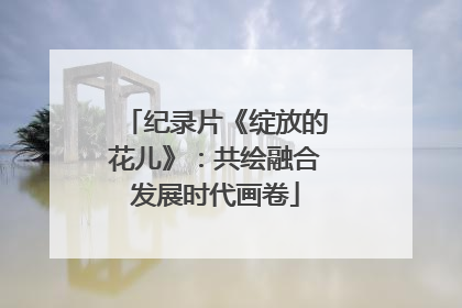 纪录片《绽放的花儿》：共绘融合发展时代画卷