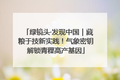 绿镜头·发现中国｜藏粮于技新实践！气象密钥解锁青稞高产基因