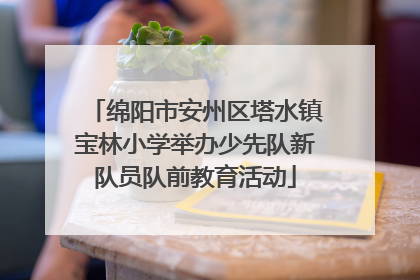 绵阳市安州区塔水镇宝林小学举办少先队新队员队前教育活动