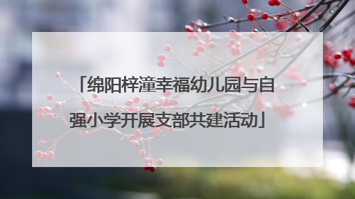 绵阳梓潼幸福幼儿园与自强小学开展支部共建活动