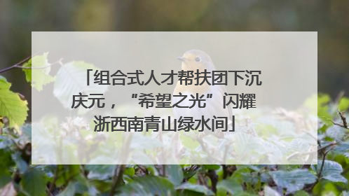 组合式人才帮扶团下沉庆元，“希望之光”闪耀浙西南青山绿水间
