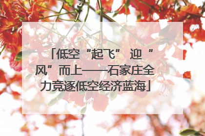 低空“起飞” 迎“风”而上——石家庄全力竞逐低空经济蓝海