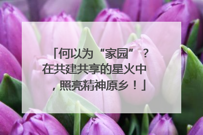 何以为“家园”？在共建共享的星火中，照亮精神原乡！