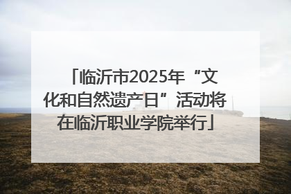 临沂市2025年“文化和自然遗产日”活动将在临沂职业学院举行