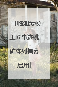 临湘劳模工匠事迹桃矿陈列揭幕启用