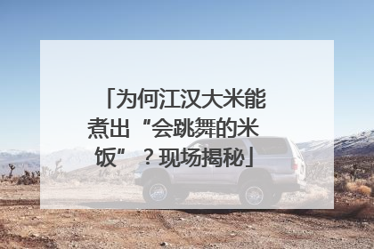 为何江汉大米能煮出“会跳舞的米饭”？现场揭秘