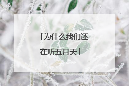 为什么我们还在听五月天
