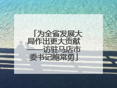 为全省发展大局作出更大贡献——访驻马店市委书记鲍常勇