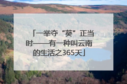 一举夺“葵”正当时——有一种叫云南的生活之365天