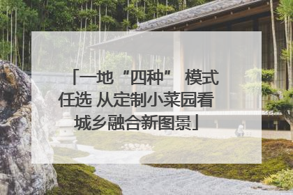 一地“四种” 模式任选 从定制小菜园看城乡融合新图景