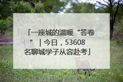 一座城的温暖“答卷”｜今日，53608名聊城学子从容赴考