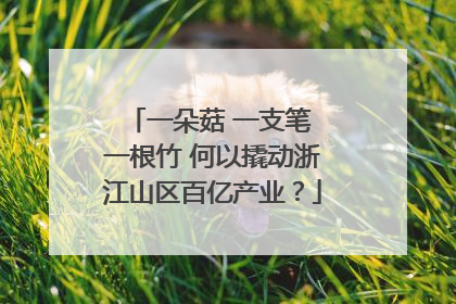 一朵菇 一支笔 一根竹 何以撬动浙江山区百亿产业？