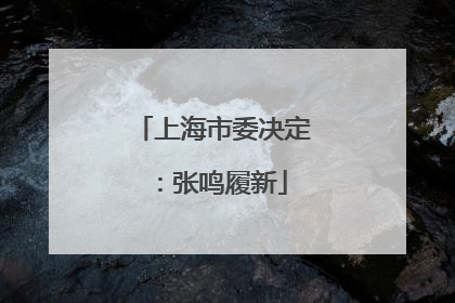 上海市委决定：张鸣履新