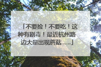 不要捡！不要吃！这种有剧毒！最近杭州路边大量出现蘑菇……