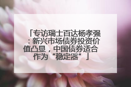 专访瑞士百达杨孝强：新兴市场债券投资价值凸显，中国债券适合作为“稳定器”