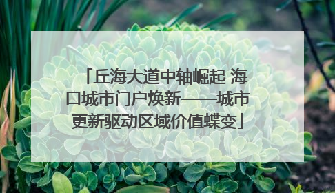 丘海大道中轴崛起 海口城市门户焕新——城市更新驱动区域价值蝶变