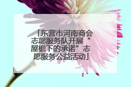 东营市河南商会志愿服务队开展“屋檐下的承诺”志愿服务公益活动