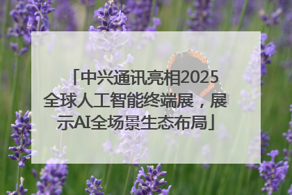 中兴通讯亮相2025全球人工智能终端展，展示AI全场景生态布局