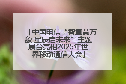 中国电信“智算慧万象 星辰启未来”主题展台亮相2025年世界移动通信大会