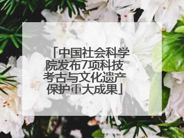 中国社会科学院发布7项科技考古与文化遗产保护重大成果