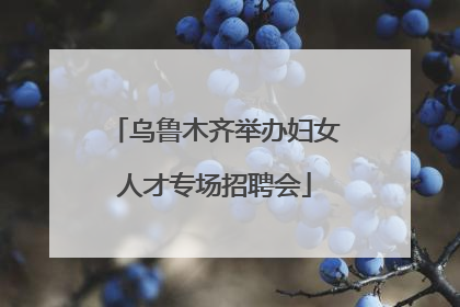 乌鲁木齐举办妇女人才专场招聘会