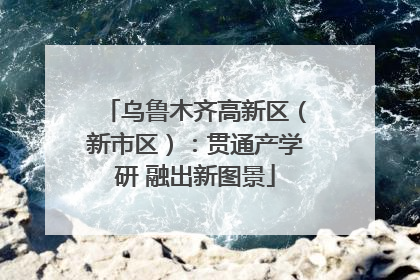 乌鲁木齐高新区（新市区）：贯通产学研 融出新图景